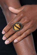 Load image into Gallery viewer, Stone Terrarium - Brass Ring
